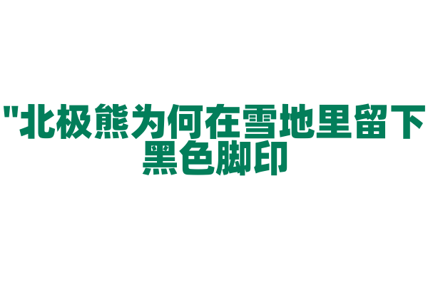 "北极熊为何在雪地里留下黑色脚印？"